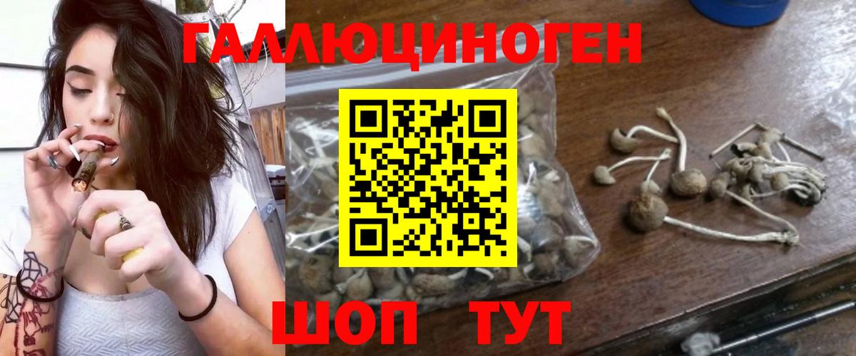 Галлюциногенные грибы ЛСД Майкоп